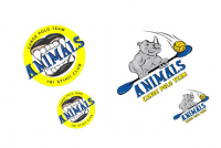 логотипы для двух команд - подростковой группы и по старше