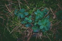 Постановочная фотосъемка, ретушь, цветокоррекция