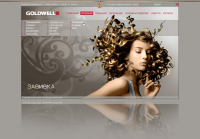 Официальный сайт компании "Goldwell".