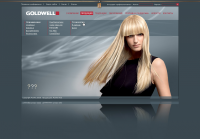 Официальный сайт компании "Goldwell".