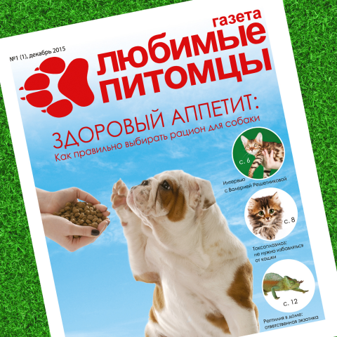газета Домашние питомцы