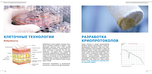 буклет Cryo