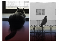 Репортаж