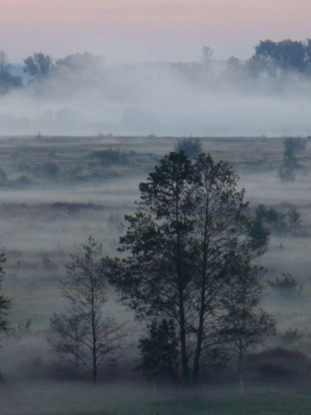 pic2010881.jpg