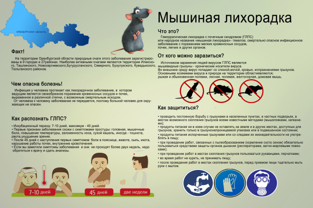 Медицинский плакат
