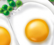 рисунки к игре для iphone "Mouse in the house"