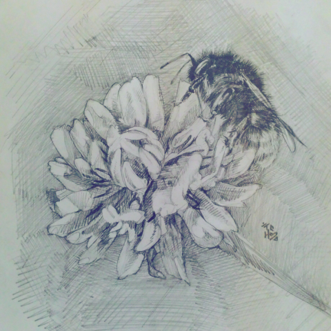 Пчела