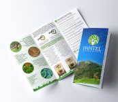 Буклет "Pantel"