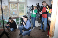 участие в проектах и фотопати