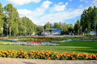 Работа 3107193