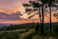 Работа 3103163