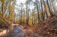 Работа 3103092