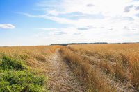 Работа 3103089