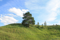 Работа 3103079