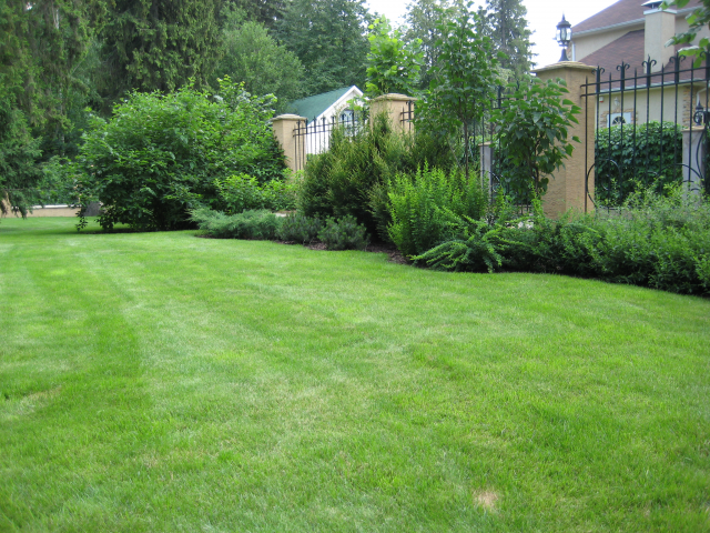 Проект ландшафта и дизайн частного сада. МО