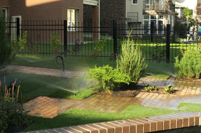 Поселок Вешки. Разработка проекта и его реализация