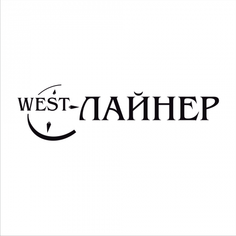 Работа 3132114