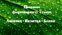 Дизайн фирменного стиля