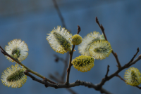 Работа 2029419