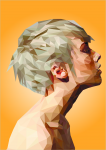 обработка фото в стиеле Low Poly