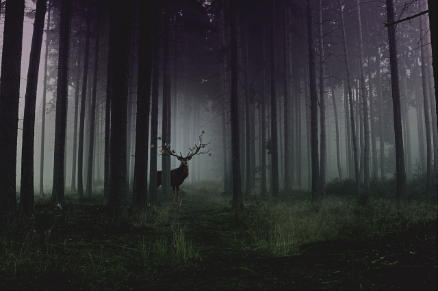 Работа 3155035