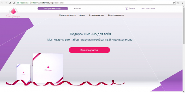 Организация рекламной компании для интернет-магазина