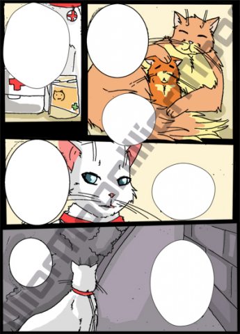 Дом кота 1