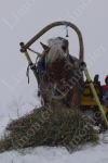 Снежно
