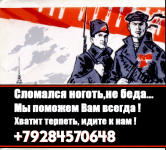 Работа 2762177