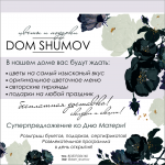 DOM SHUMOV банер