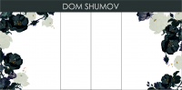 DOM SHUMOV вход