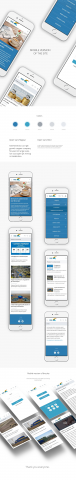 Phone version of the website