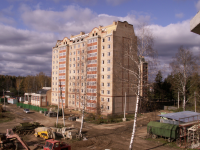 Микрорайон монолитно-кирпичных жилых домов в пос. Лесной