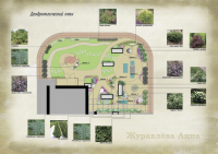 Дендрологический план