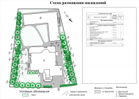 ассортимент растений