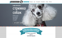 Стрижка собак