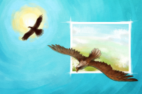 Eagle fly free