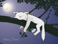 кот