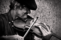 Продам музыку без посредников