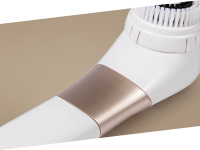 Professional Cleansing System