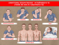 Работа 3129329