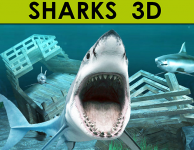 Работа 2003238