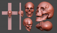 Skull cross