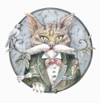 Кот