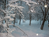 Работа 2633608