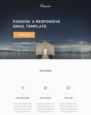 Сайт портфолио на WordPress-е