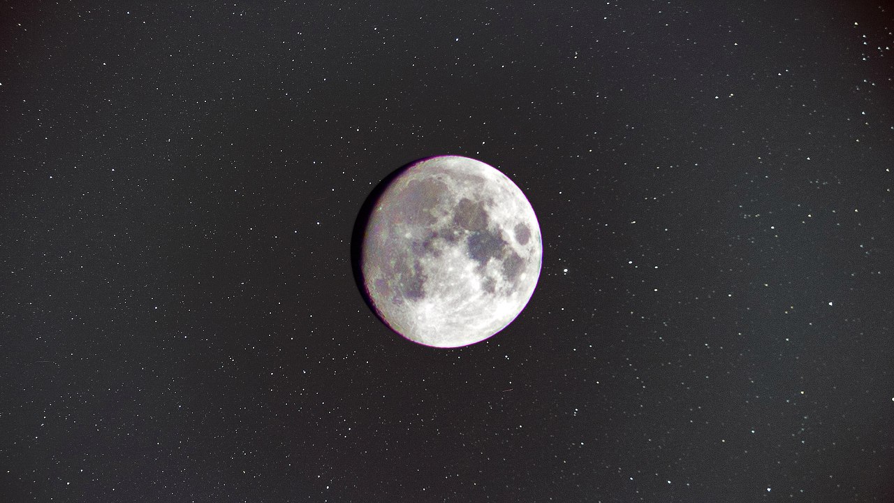 pic2950073.jpg