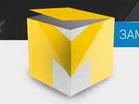 Magaletsky Consulting