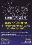 Работа 2993351