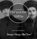 Проект «Тайпы» для РИ